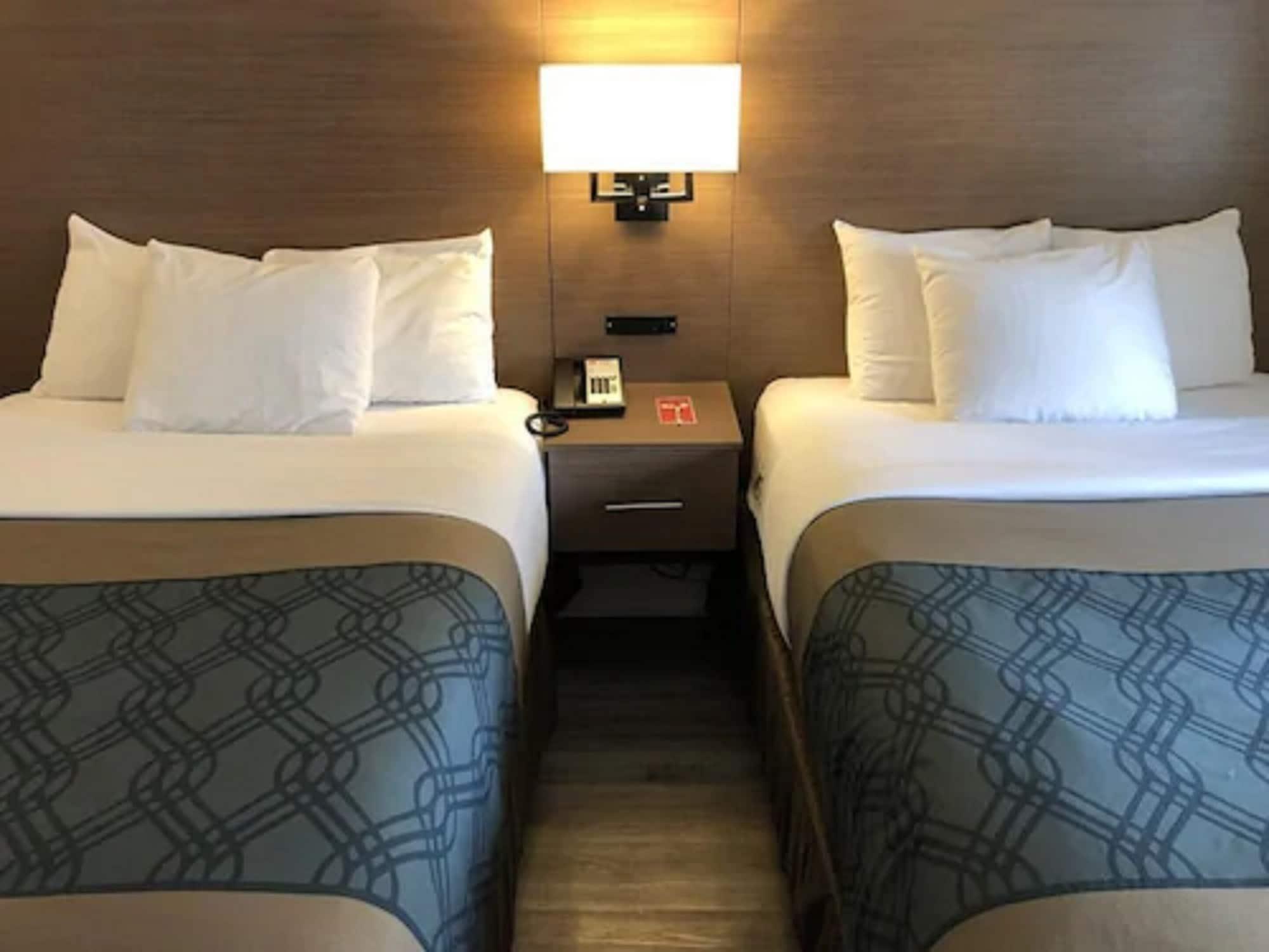 טורונטו Econo Lodge Inn & Suites Downtown מראה חיצוני תמונה