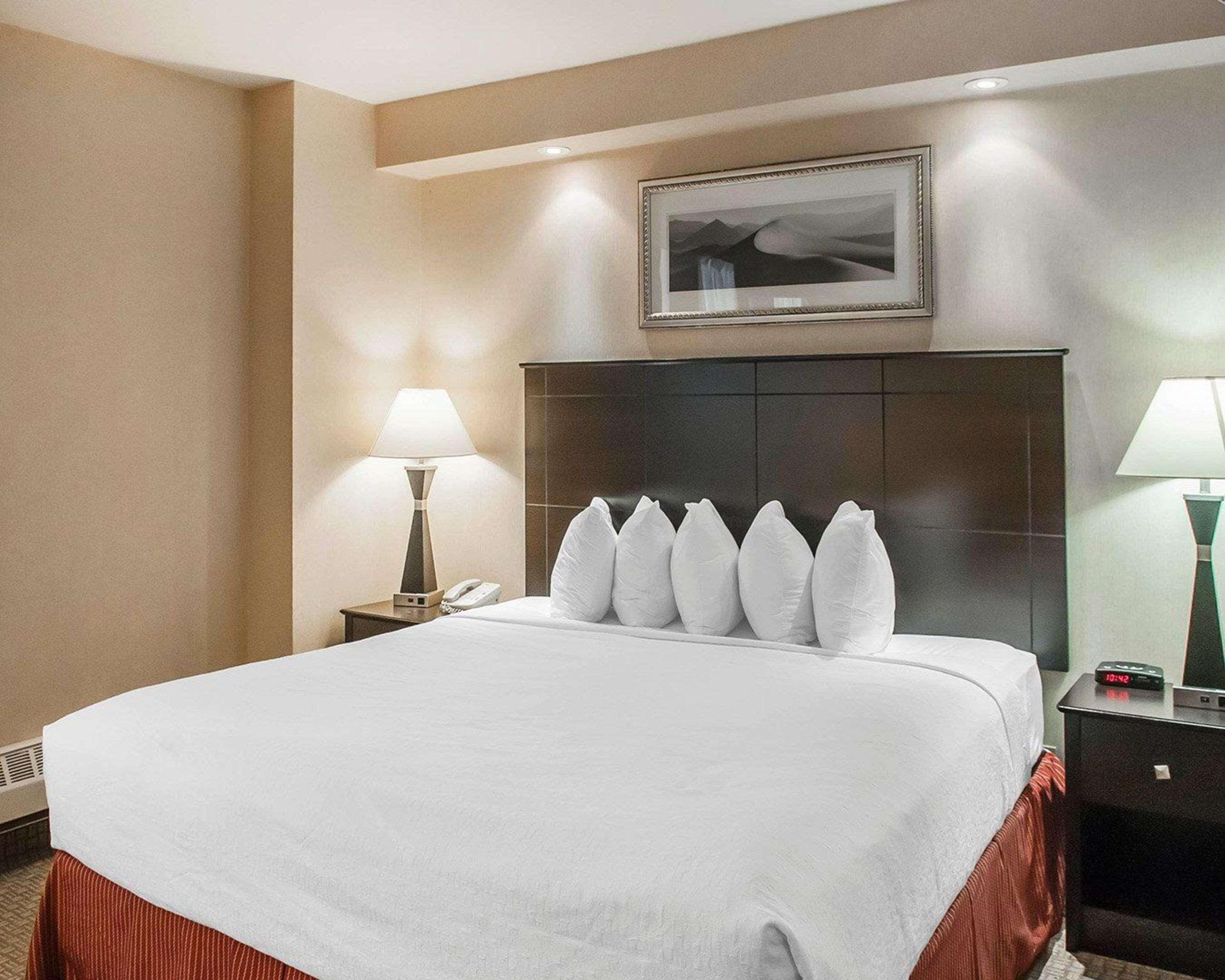 טורונטו Econo Lodge Inn & Suites Downtown מראה חיצוני תמונה